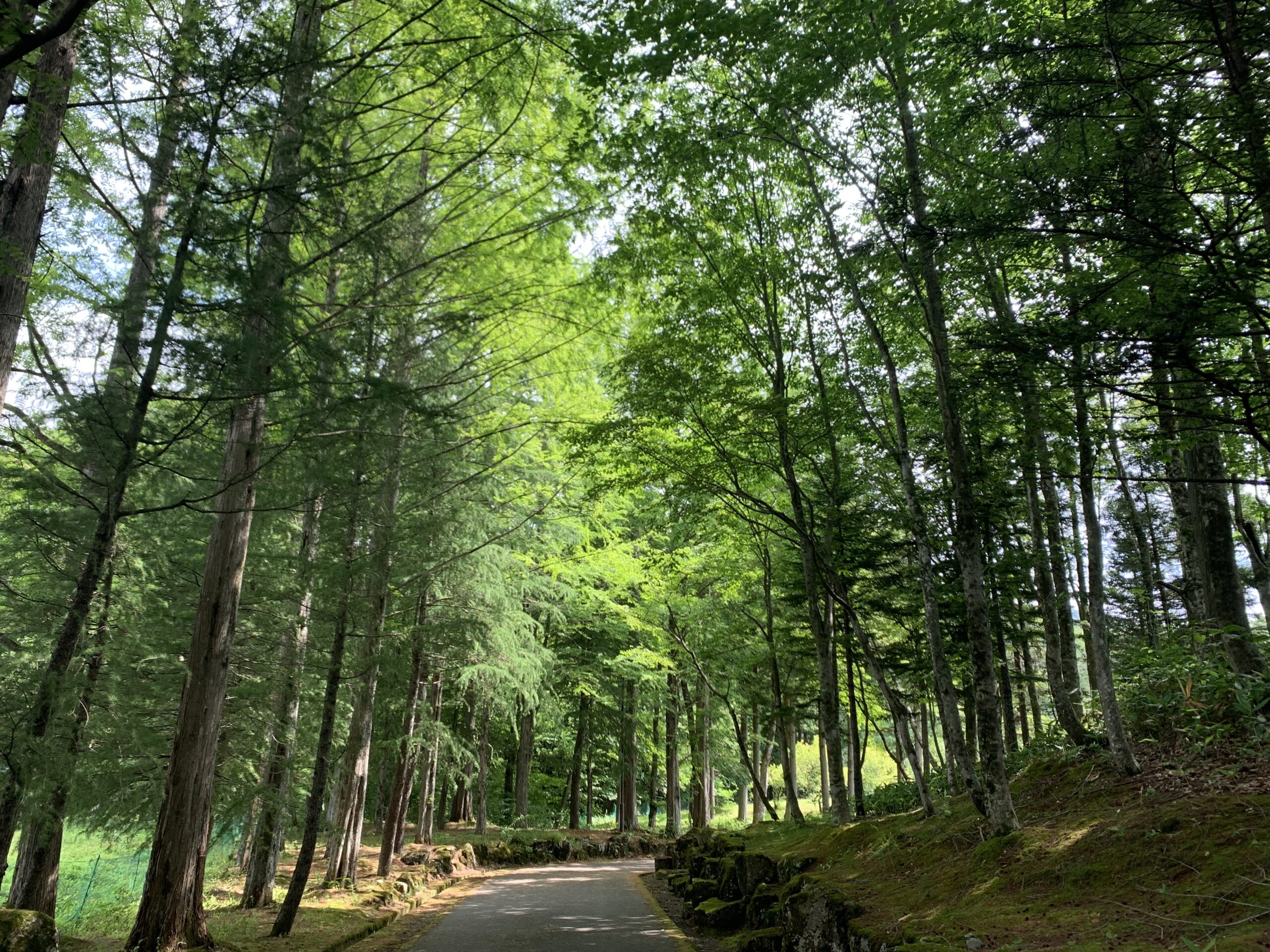 日本神話と歴史